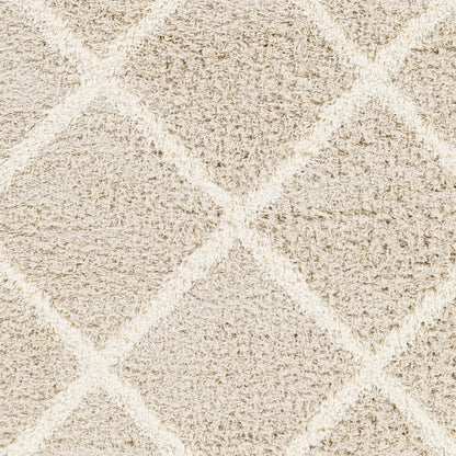 JANE Shaggy Cottage Plush Pile Beige Area Rug Swatch