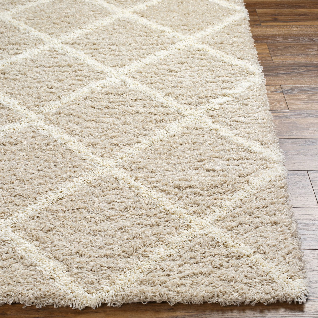 JANE Shaggy Cottage Plush Pile Beige Area Rug Front