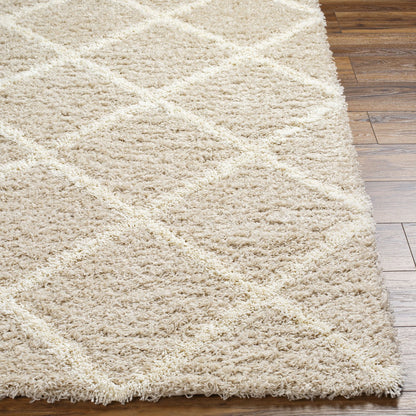 JANE Shaggy Cottage Plush Pile Beige Area Rug Front