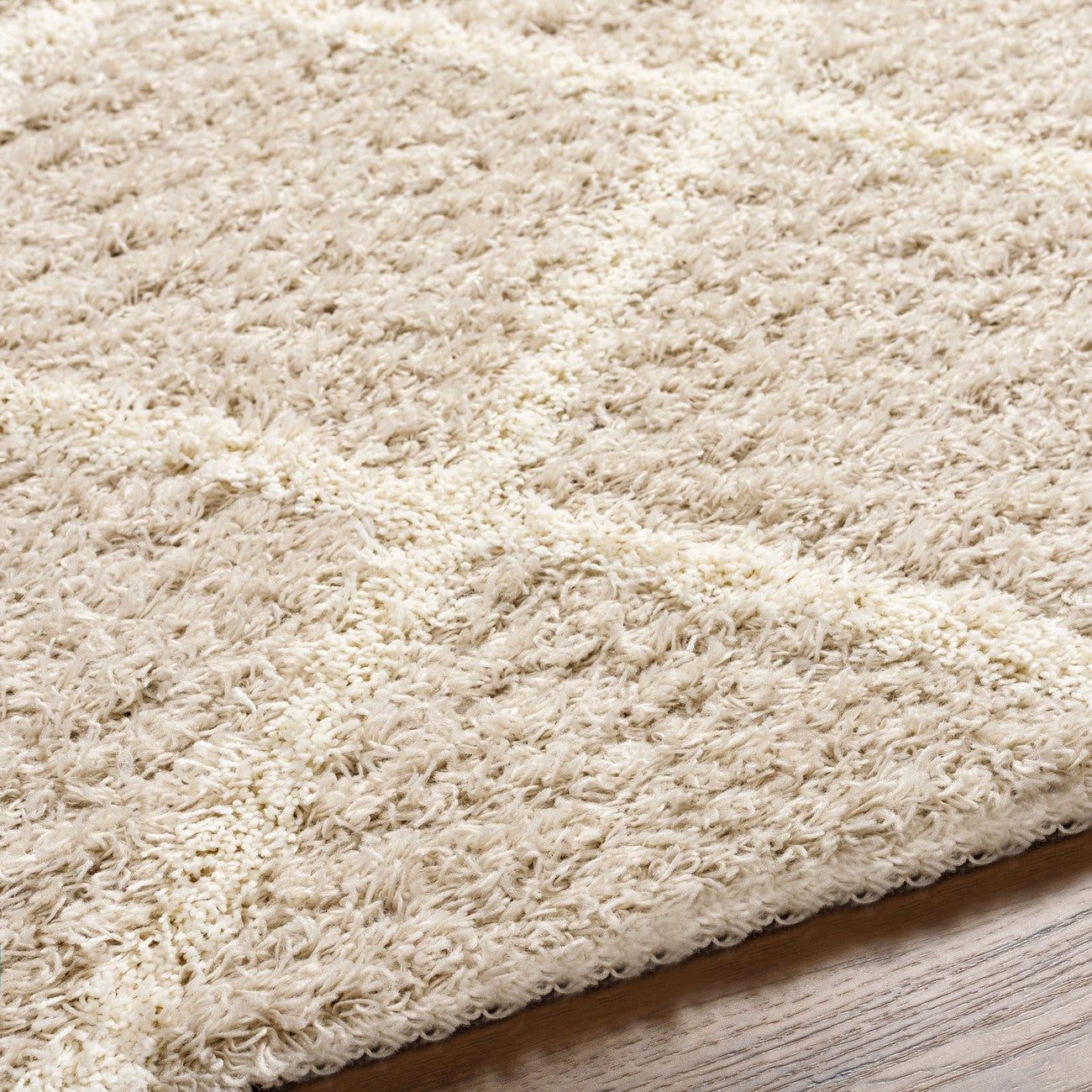 JANE Shaggy Cottage Plush Pile Beige Area Rug Texture