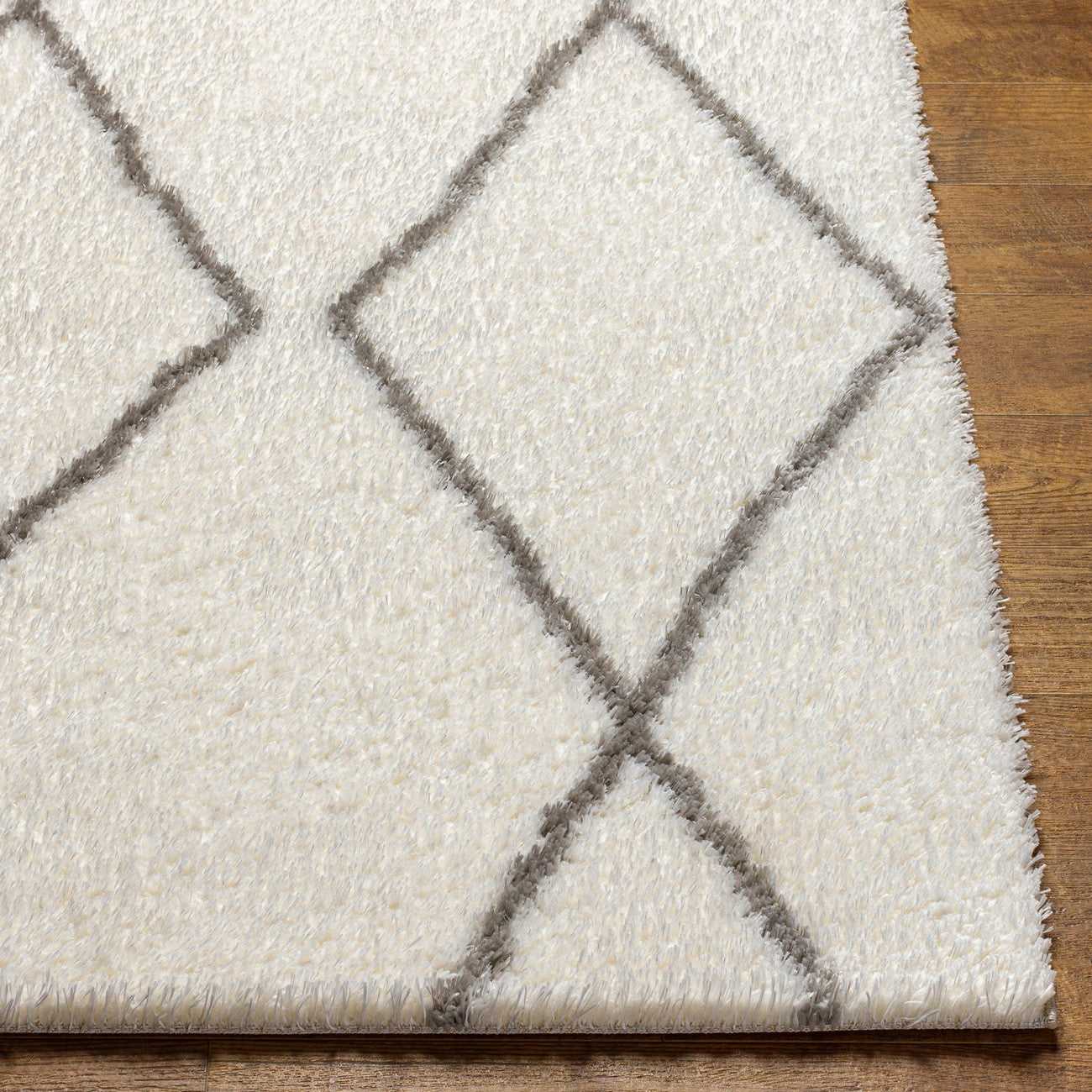JUNO Shaggy Modern Plush Pile Ivory Area Rug Front