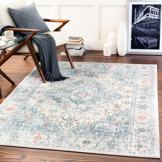 DALILA Vintage Traditional Oriental Boho Medium Grey Area Rug Roomscene
