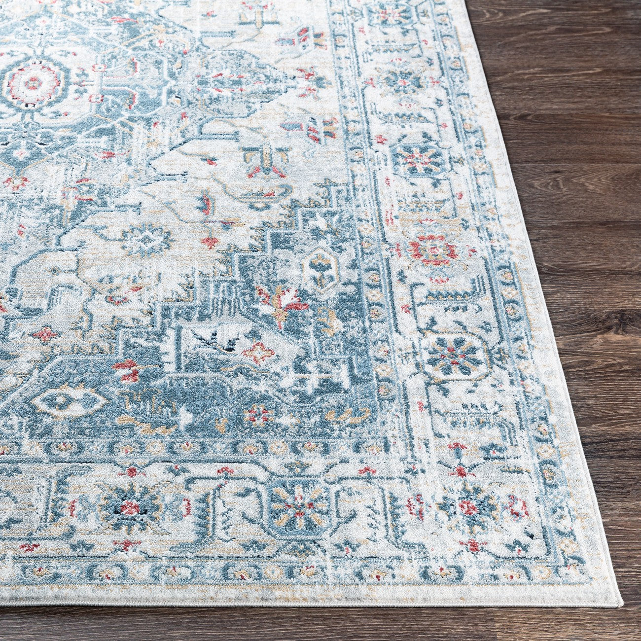 DALILA Vintage Traditional Oriental Boho Medium Grey Area Rug Front