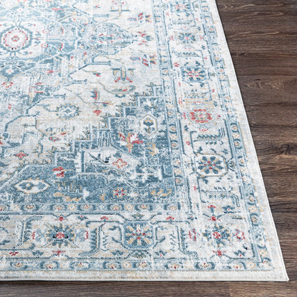 DALILA Vintage Traditional Oriental Boho Medium Grey Area Rug Front