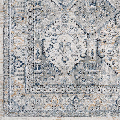 CAMILA Vintage Traditional Oriental Boho Light Grey Area Rug Swatch