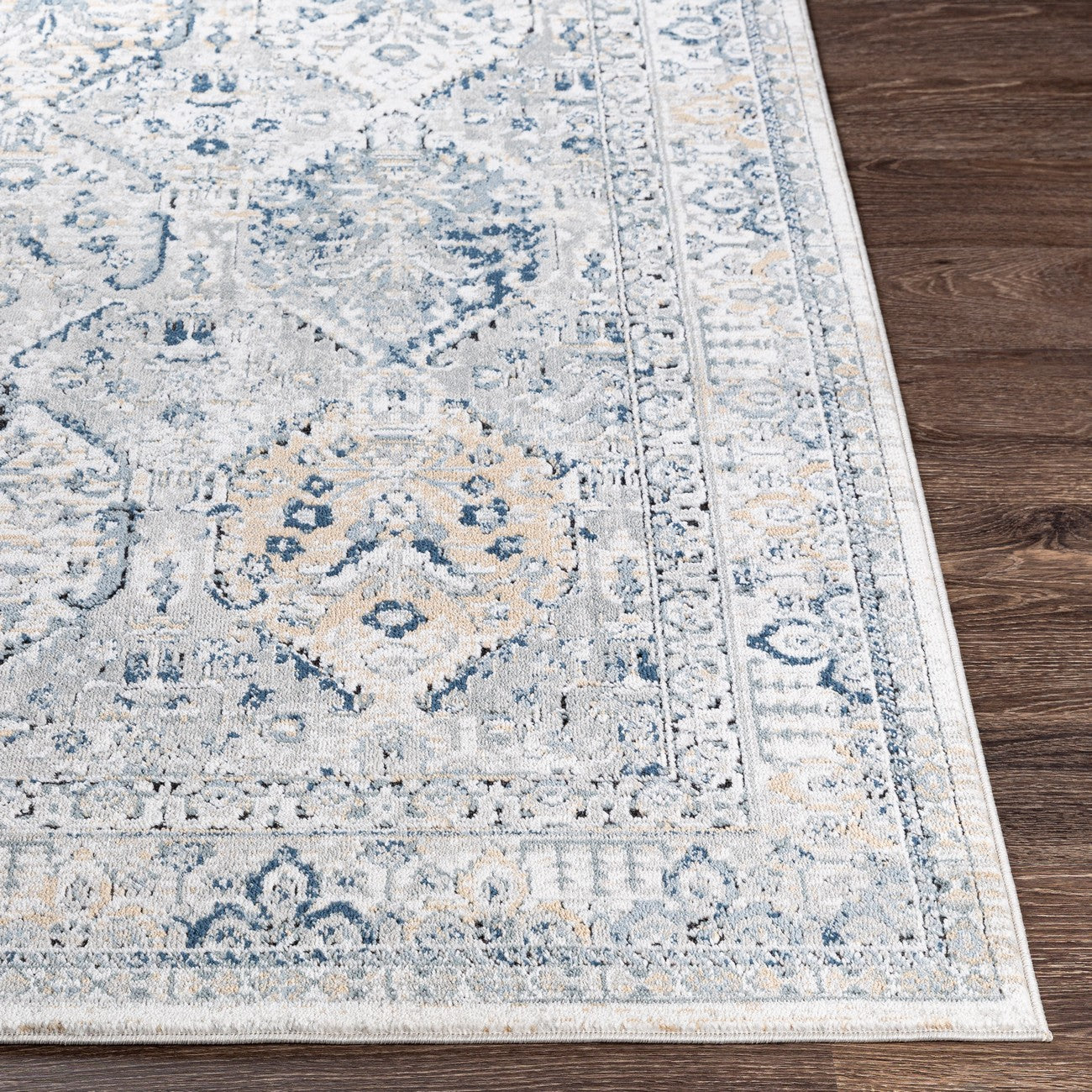 CAMILA Vintage Traditional Oriental Boho Light Grey Area Rug Front