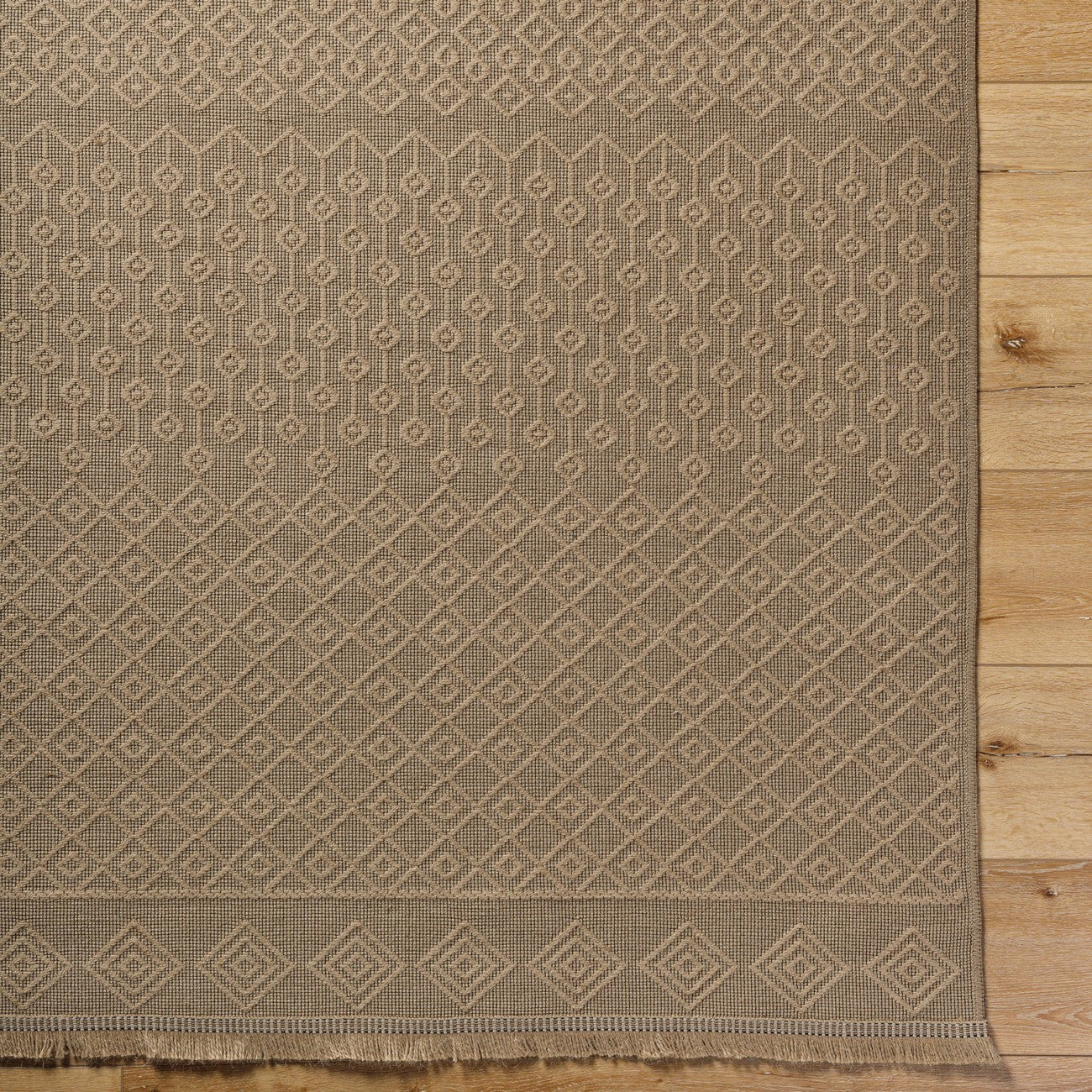 KASHVI Cottage Tan Machine Washable Jute Area Rug Overhead