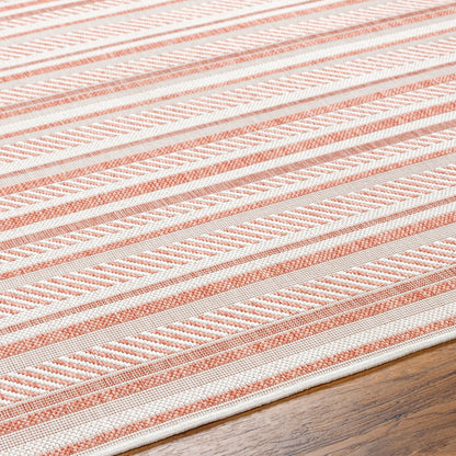 KAVITA Indoor & Outdoor Global Coral/Pink Area Rug Texture