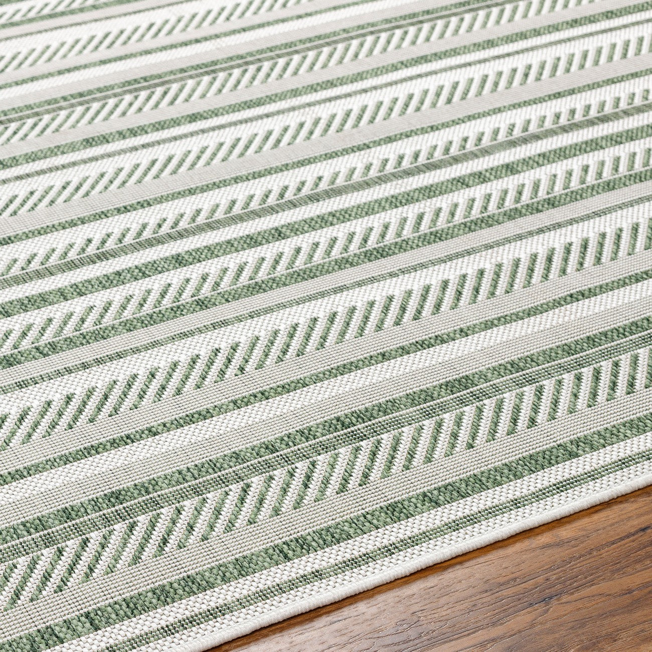 KAVITA Indoor & Outdoor Global Moss Green Area Rug Texture