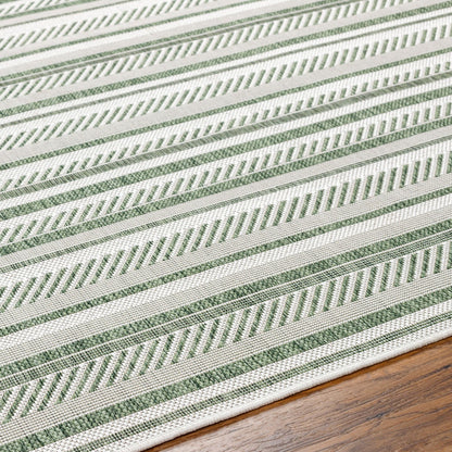 KAVITA Indoor & Outdoor Global Moss Green Area Rug Texture