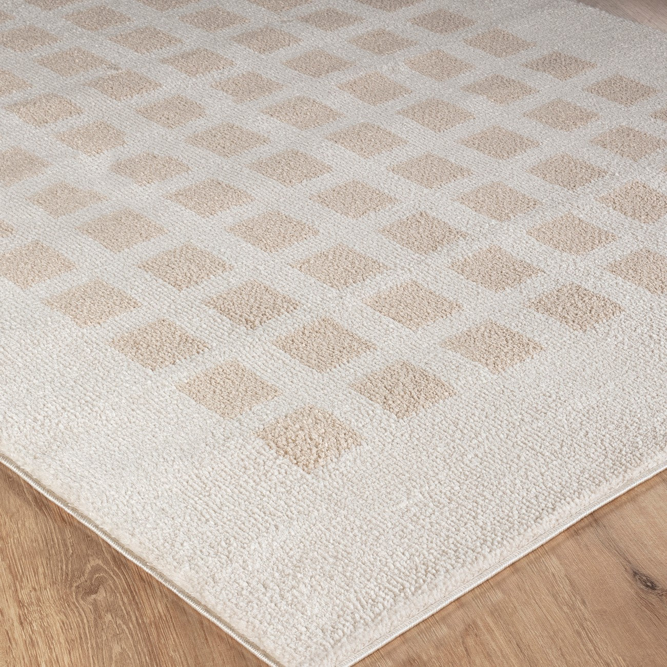 LAURINE Machine Washable Modern Shaggy Beige Area Rug Corner