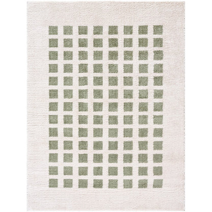 LAURINE Machine Washable Modern Shaggy Grass Green Area Rug Flat