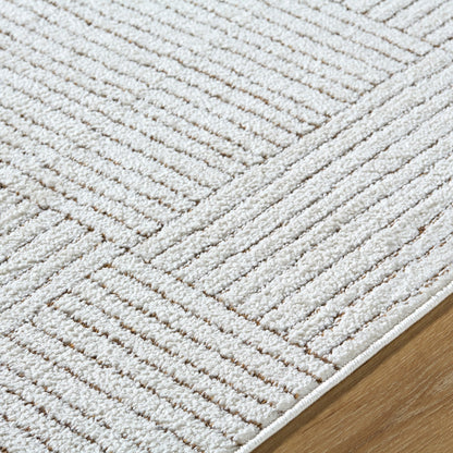 LORAINE Galey Alix x Livabliss Modern Scandi High Pile Ivory/Dark Brown Area Rug Texture