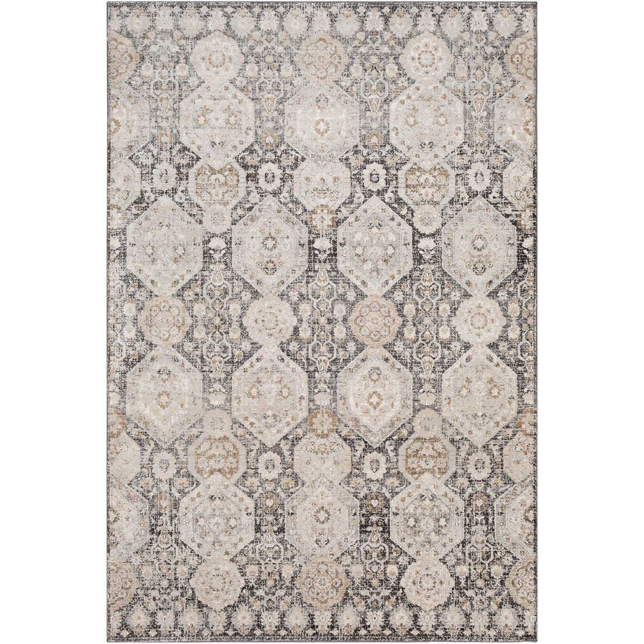 LOTUS Vintage Traditional Oriental Boho Black Area Rug Flat