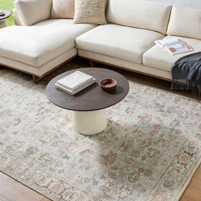 LOUISA Our PNW Home x Livabliss Vintage Oriental Boho Grey/Tan Area Rug Roomscene