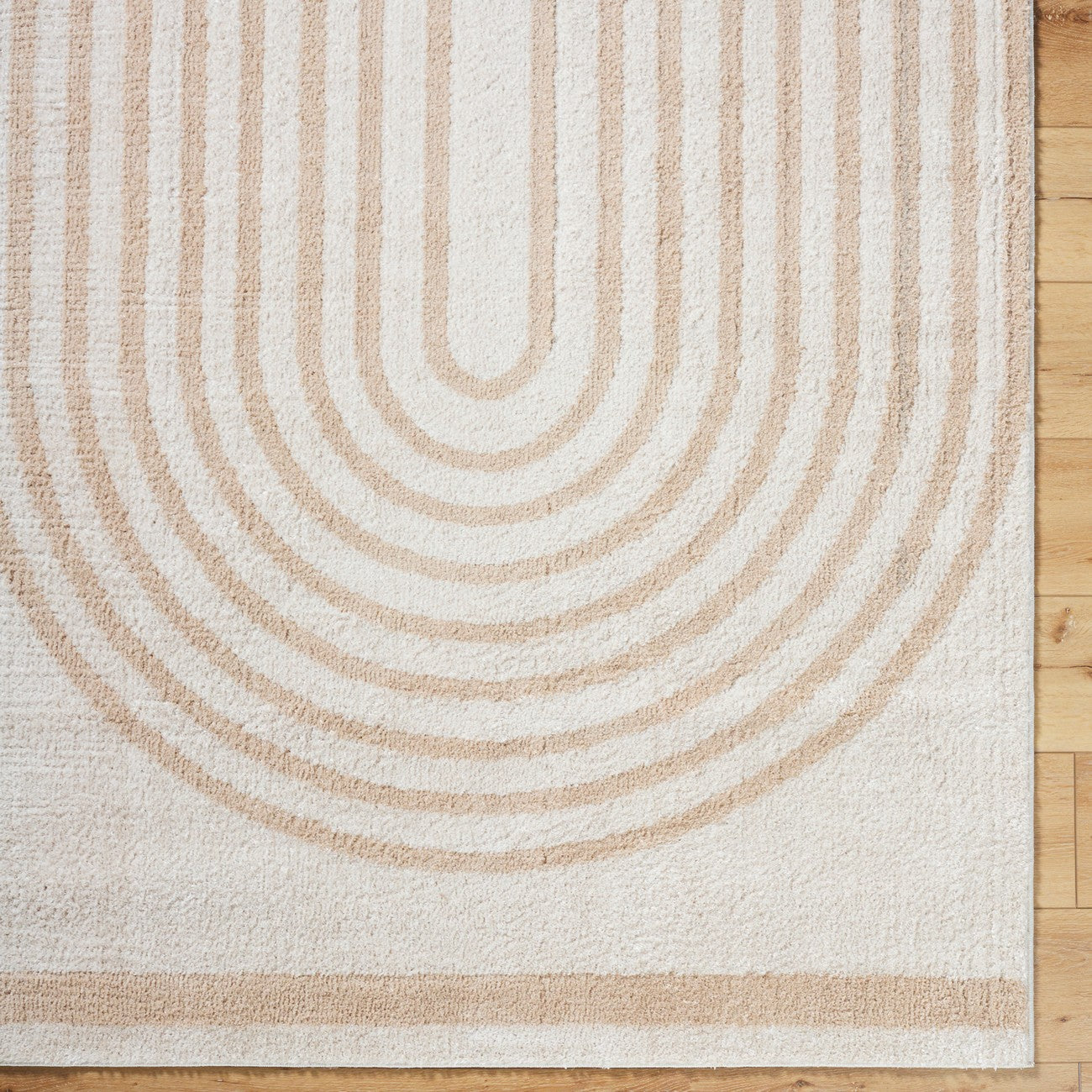 LUCILE Machine Washable Modern Shaggy Beige Area Rug Overhead