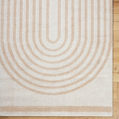 LUCILE Machine Washable Modern Shaggy Beige Area Rug Overhead