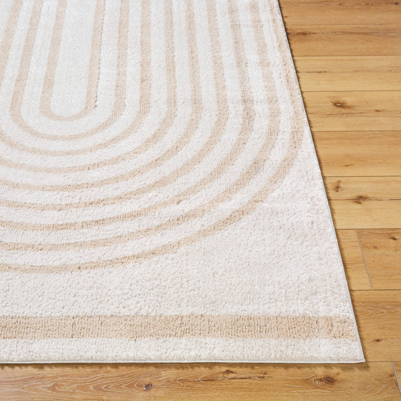 LUCILE Machine Washable Modern Shaggy Beige Area Rug Front