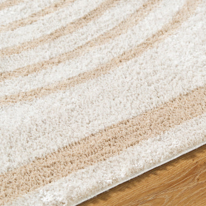 LUCILE Machine Washable Modern Shaggy Beige Area Rug Texture