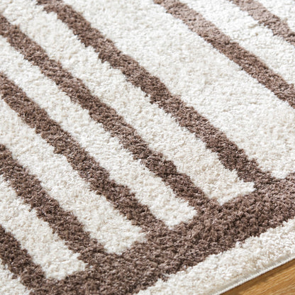 LUCILE Machine Washable Modern Shaggy Dark Brown Area Rug Texture