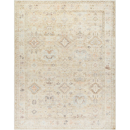 MAHI Becki Owens x Livabliss Vintage Traditional Oriental Boho Medium Brown Area Rug Flat