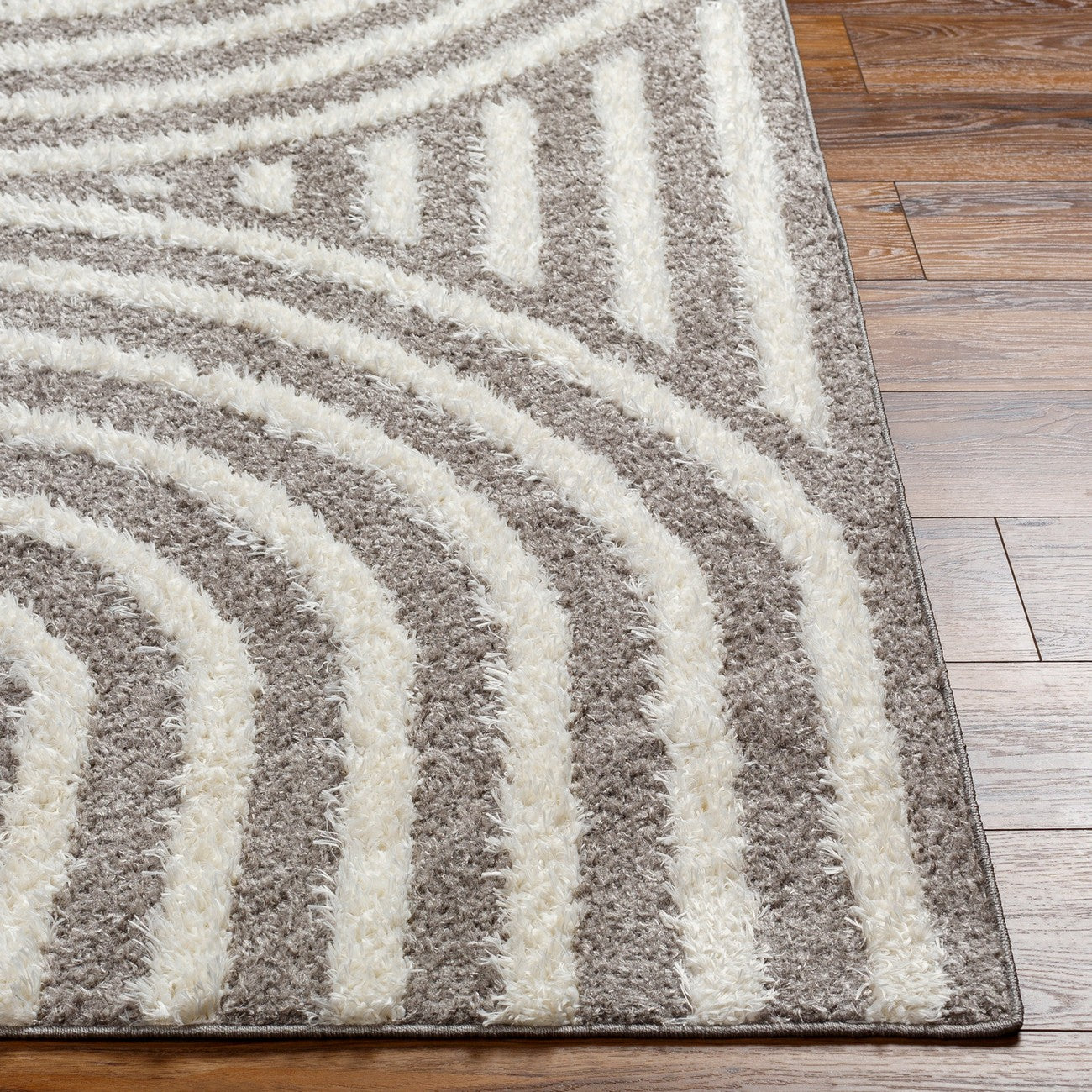 MARAVA Shaggy Modern Plush Pile Charcoal Area Rug Front