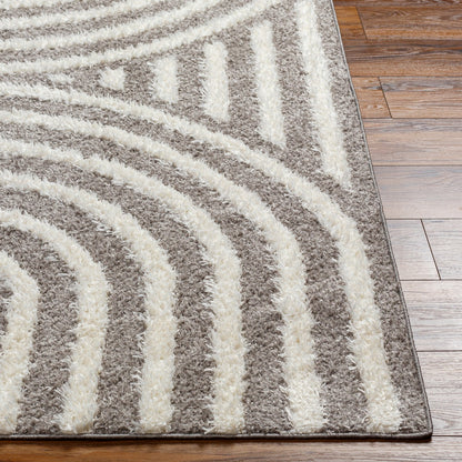 MARAVA Shaggy Modern Plush Pile Charcoal Area Rug Front