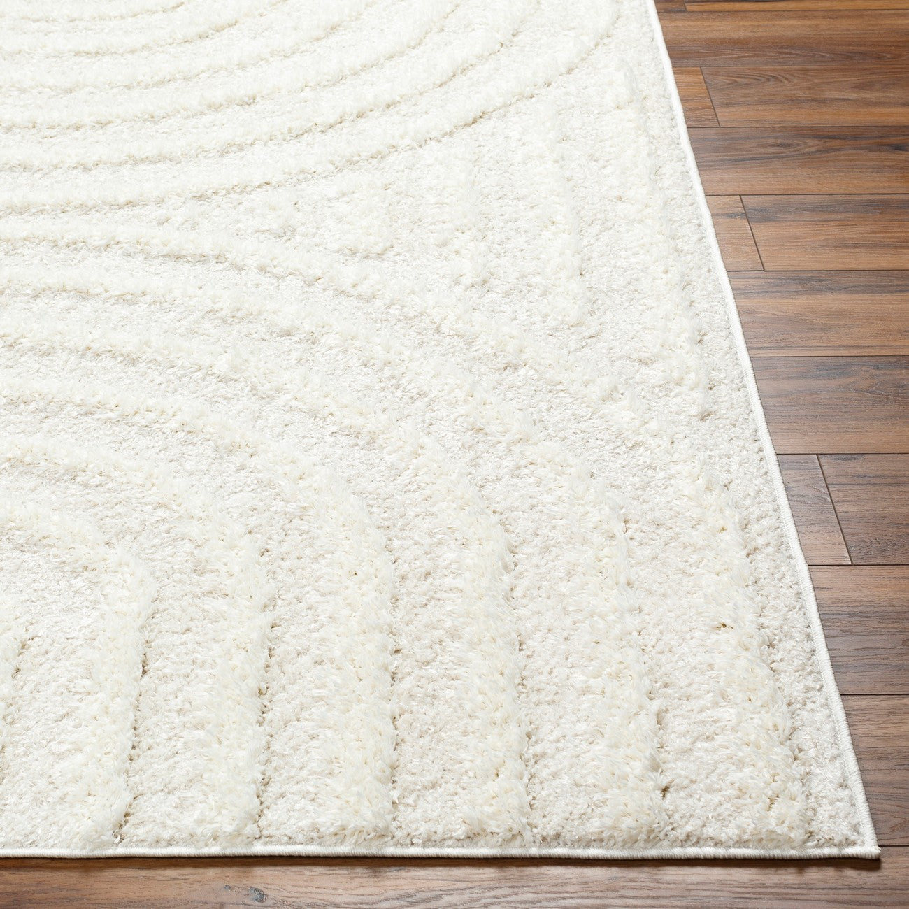 MARAVA Shaggy Modern Plush Pile Light Grey Area Rug Front