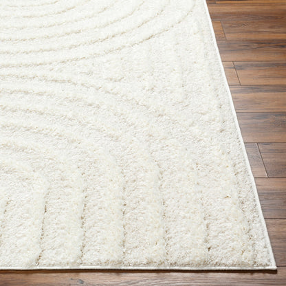 MARAVA Shaggy Modern Plush Pile Light Grey Area Rug Front