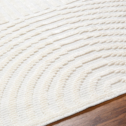 MEERA LAKE Machine Washable Modern Cream Area Rug Texture