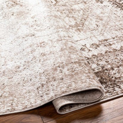 NEELAM Vintage Oriental Boho Brown Area Rug Fold