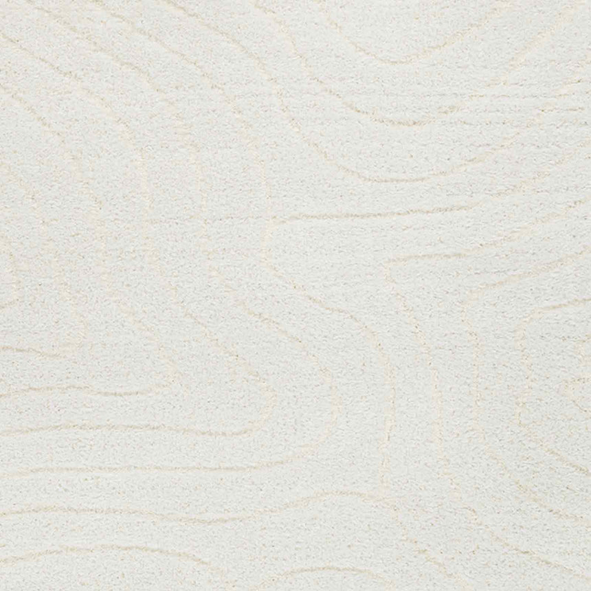 Danae Shaggy Modern Plush Pile Light Beige Rug - Image 6