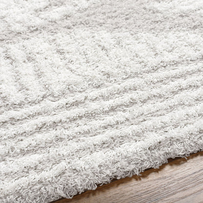 NURIA Shaggy Modern Plush Pile Light Grey Area Rug Texture
