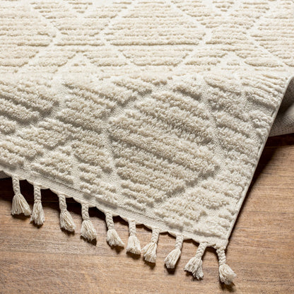 JASMINE Berber High Pile Geometric Beige Area Rug Fold