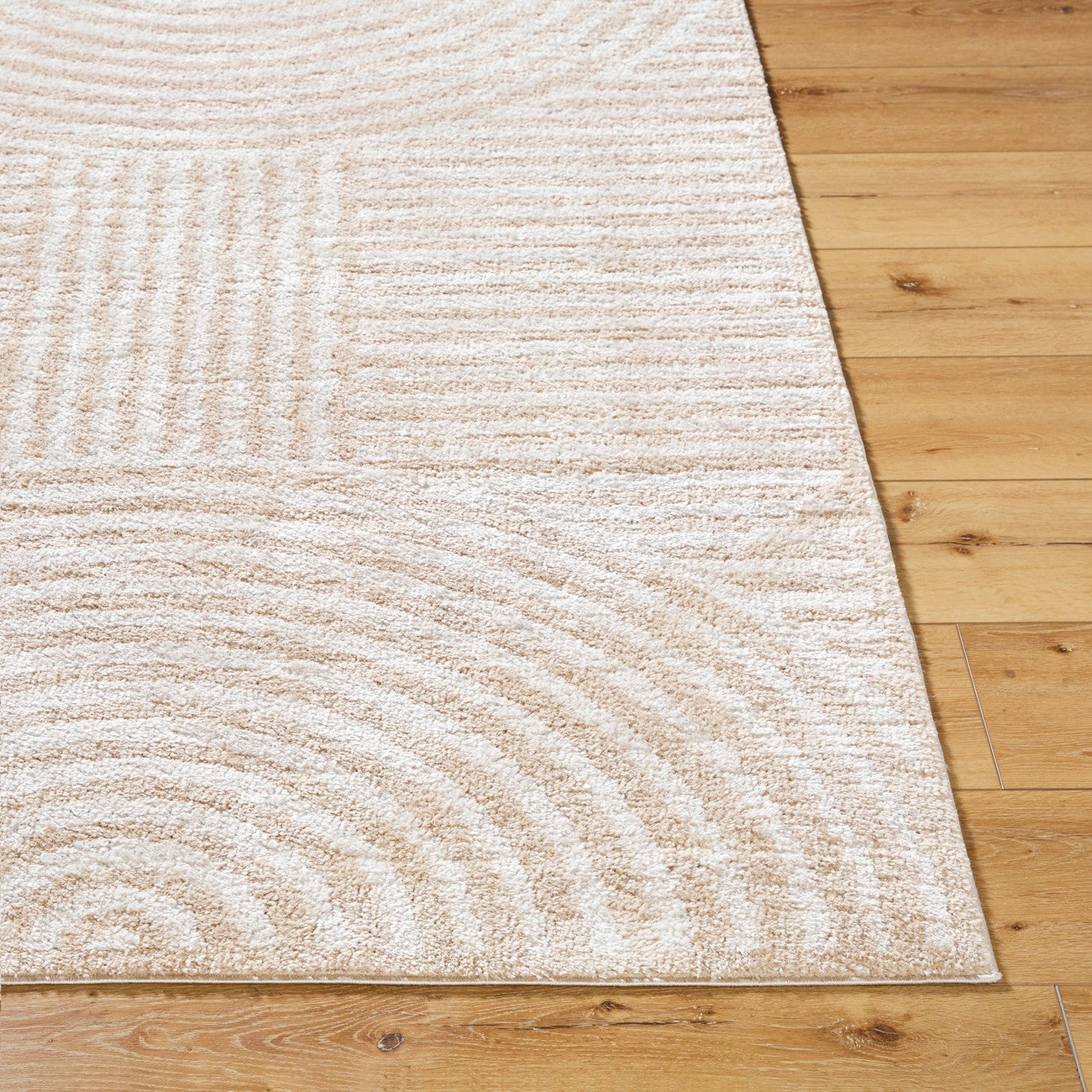 PAULINE Machine Washable Modern Shaggy Beige Area Rug Front