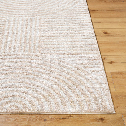 PAULINE Machine Washable Modern Shaggy Beige Area Rug Front