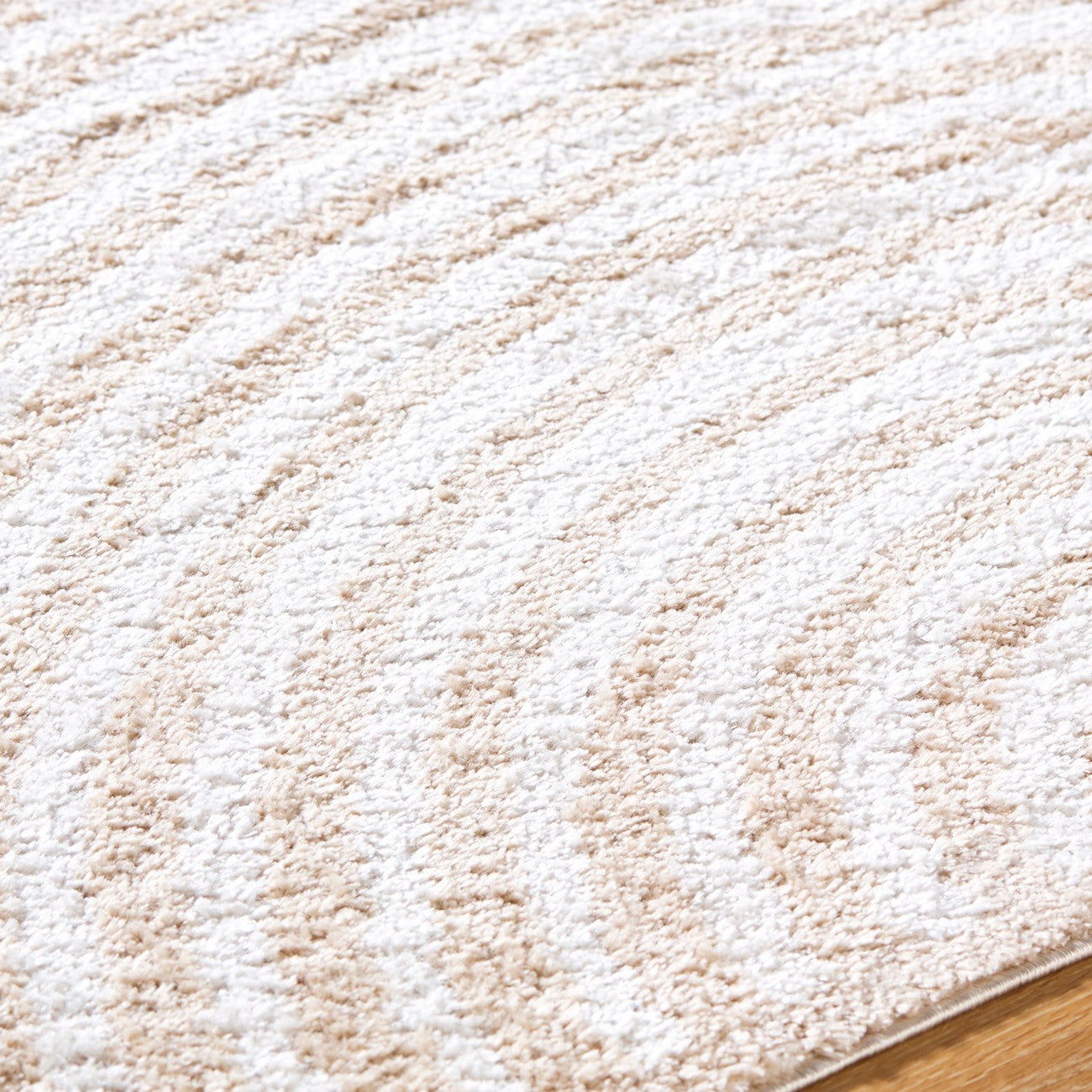 PAULINE Machine Washable Modern Shaggy Beige Area Rug Texture