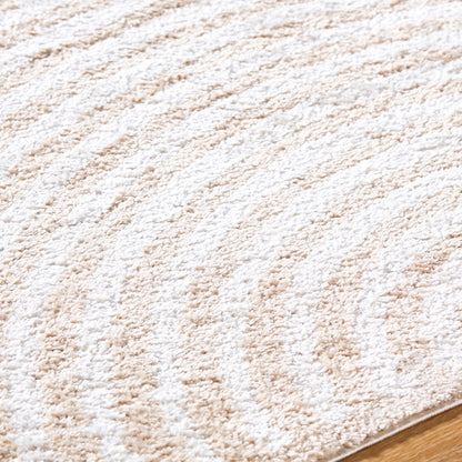 PAULINE Machine Washable Modern Shaggy Beige Area Rug Texture