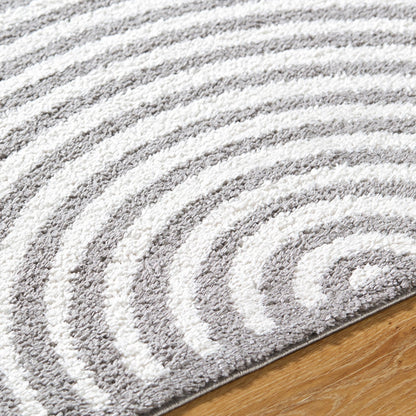 PAULINE Machine Washable Modern Shaggy Charcoal Area Rug Texture