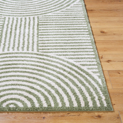 PAULINE Machine Washable Modern Shaggy Grass Green Area Rug Front