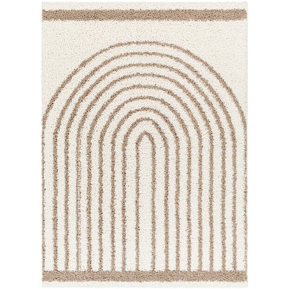 PIHU Shaggy Global Plush Pile Cream Area Rug Flat