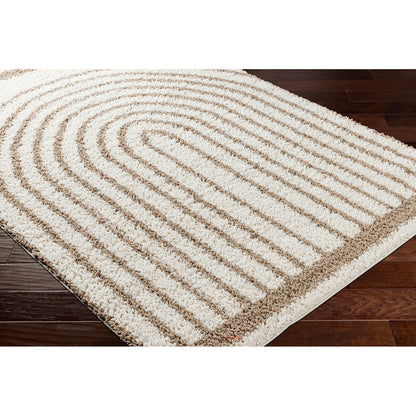 PIHU Shaggy Global Plush Pile Cream Area Rug Corner