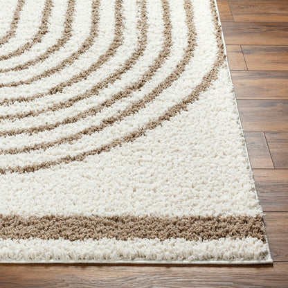 PIHU Shaggy Global Plush Pile Cream Area Rug Front