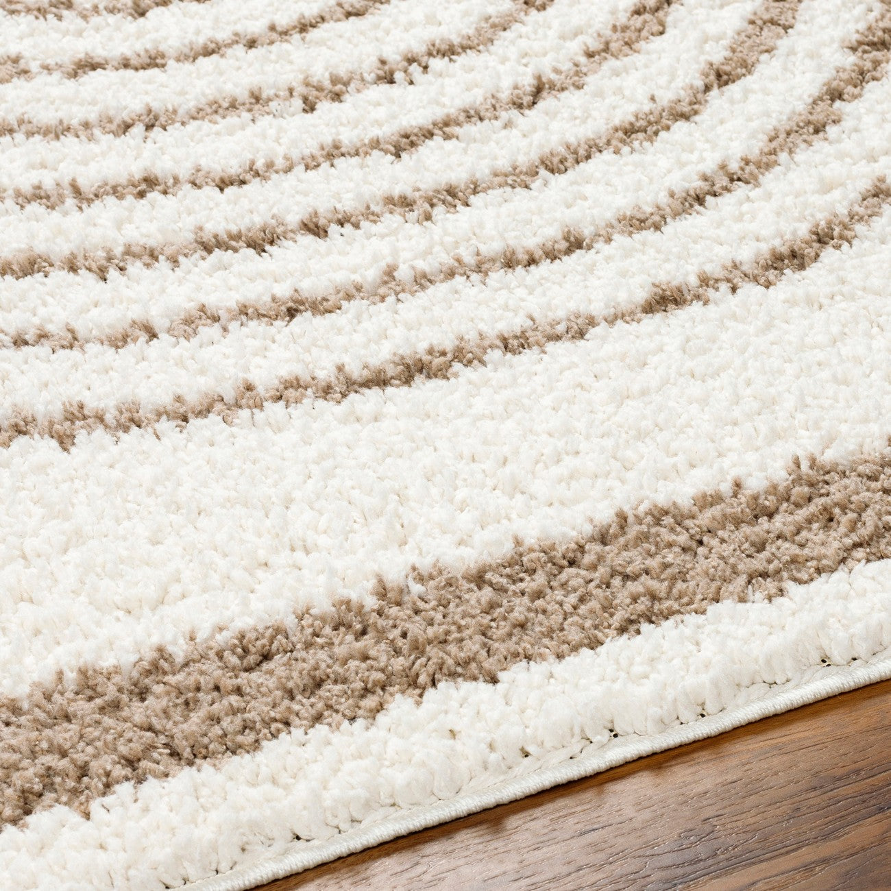 PIHU Shaggy Global Plush Pile Cream Area Rug Texture