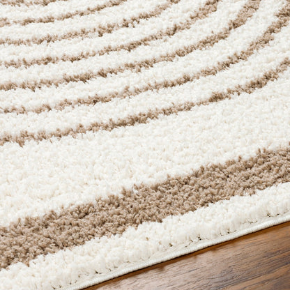 PIHU Shaggy Global Plush Pile Cream Area Rug Texture