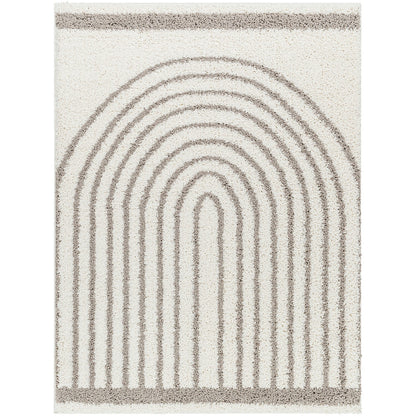 PIHU Shaggy Global Plush Pile Light Grey Area Rug Flat