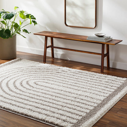 PIHU Shaggy Global Plush Pile Light Grey Area Rug Roomscene
