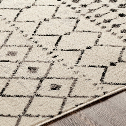 LEONOR Berber Geometric Light Grey Area Rug Texture