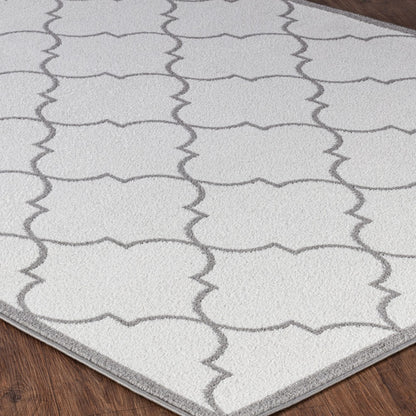 QUINN Vintage Oriental Boho White Area Rug Corner