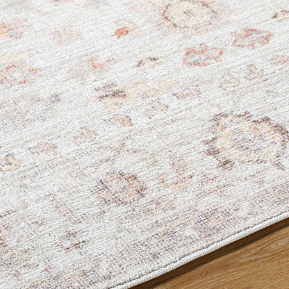 REESHA Our PNW Home x Livabliss Vintage Traditional Oriental Boho Ivory/Rust Area Rug Texture